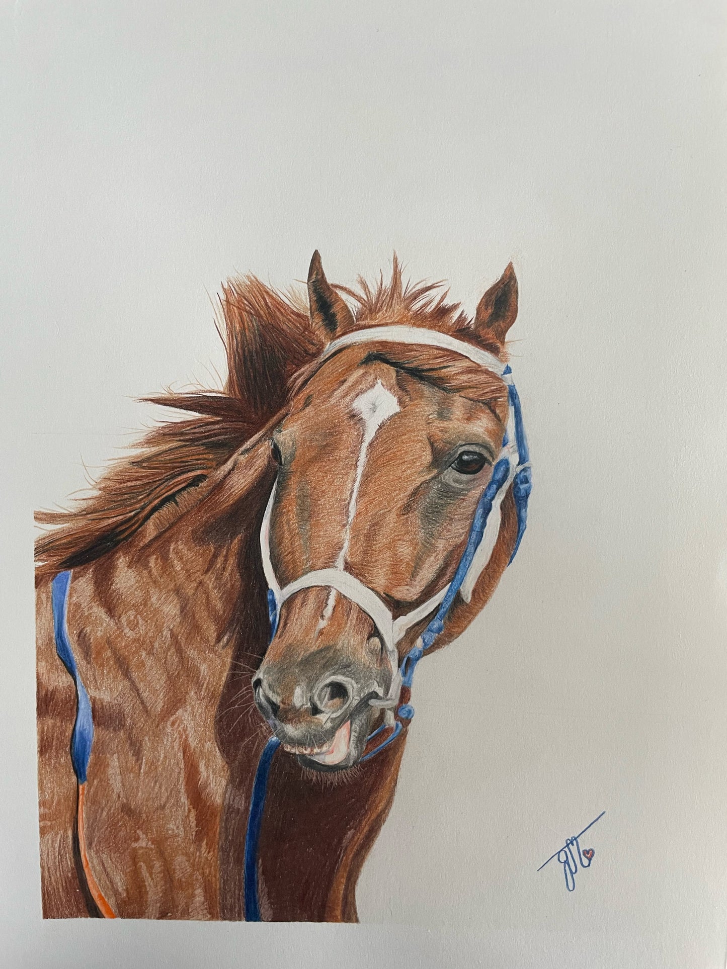 Personalized Pet Portrait