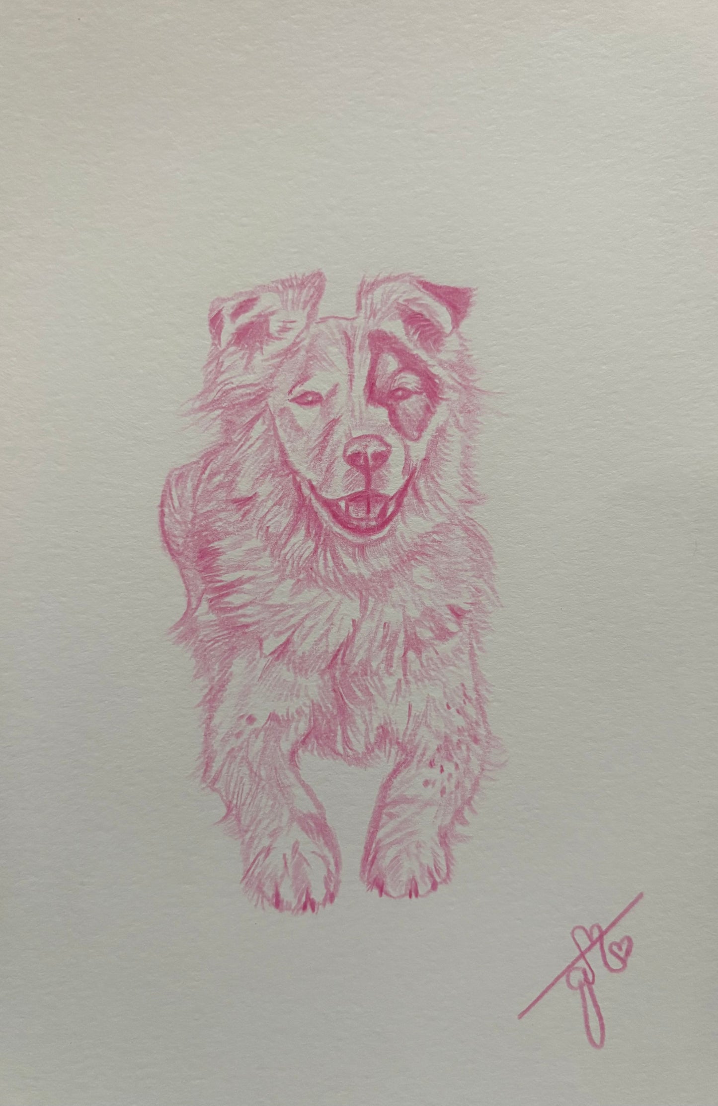 Custom Mini Pet Sketches