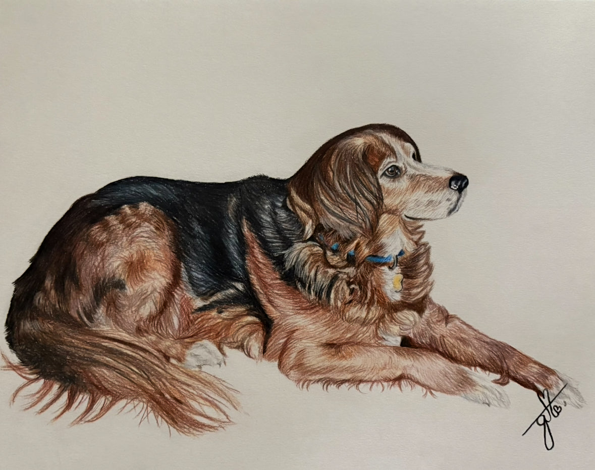 Personalized Pet Full Body Drawing