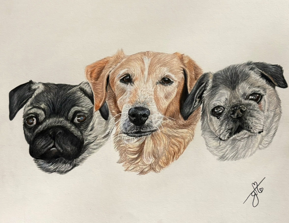 Personalized Pet Portrait