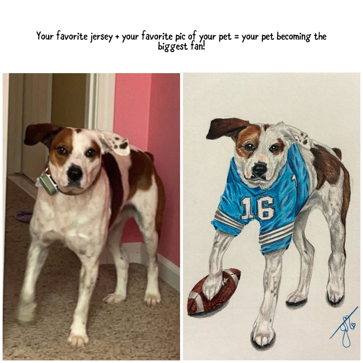 Personalized Pet Jersey Portrait