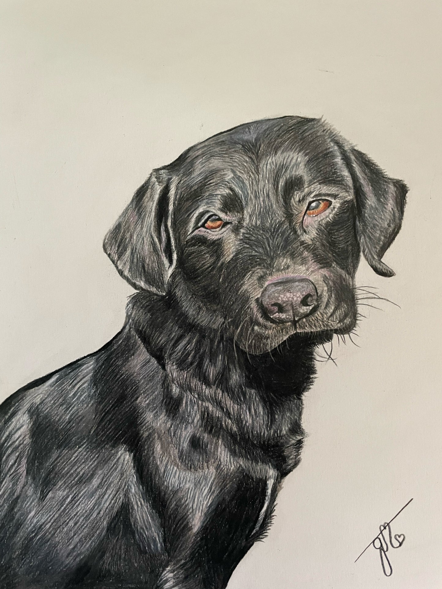 Personalized Pet Portrait