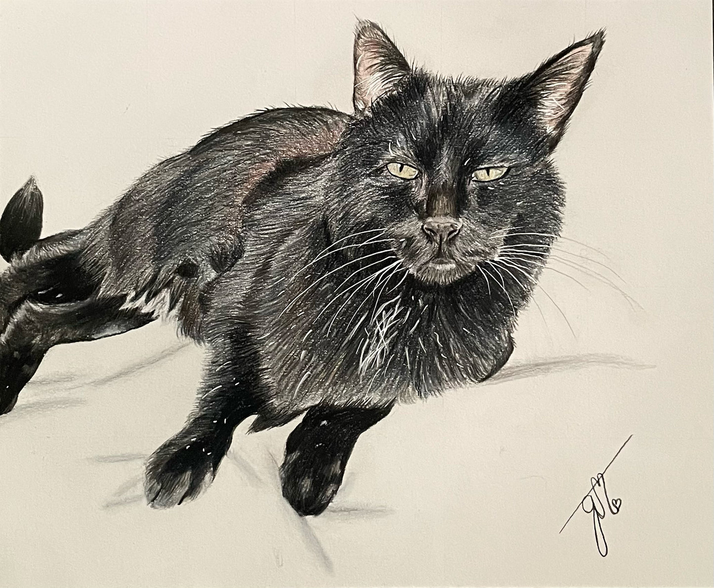 Personalized Pet Full Body Drawing