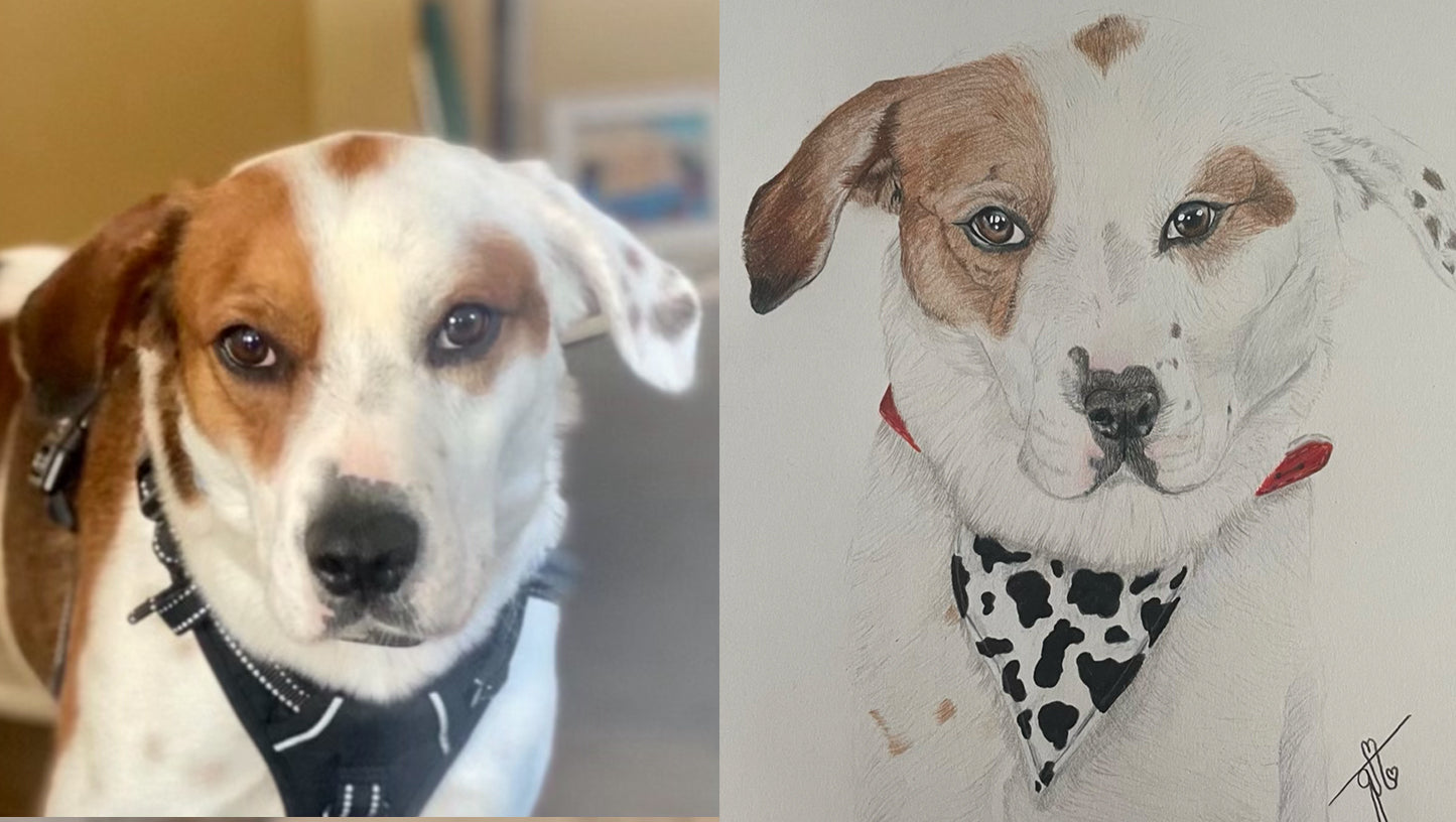 Personalized Pet Portrait