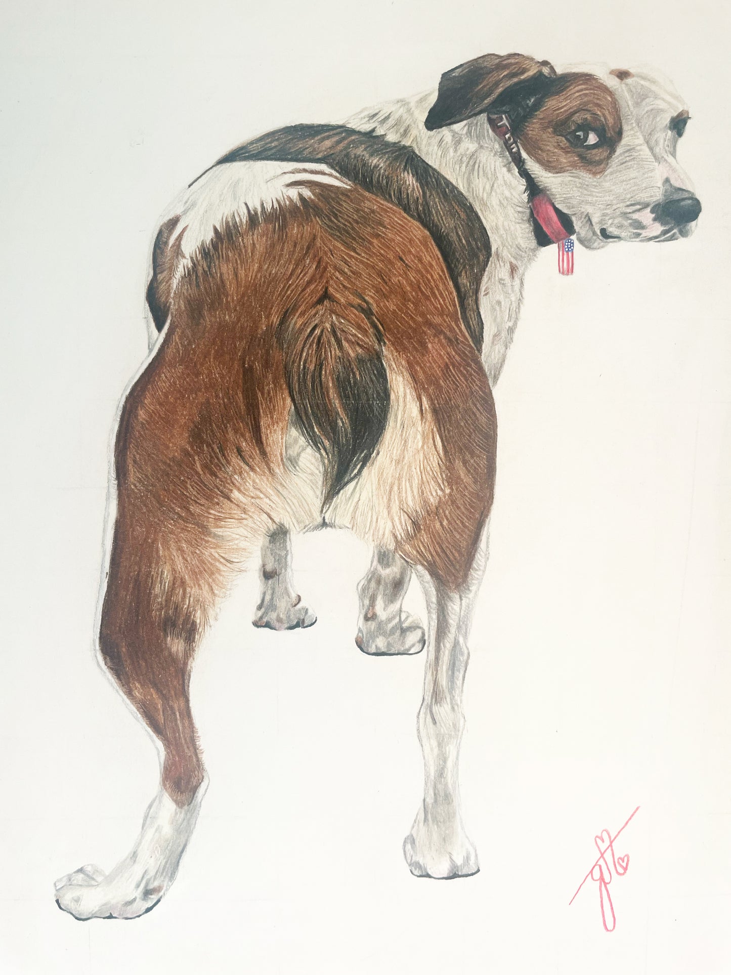 Personalized Pet Full Body Drawing