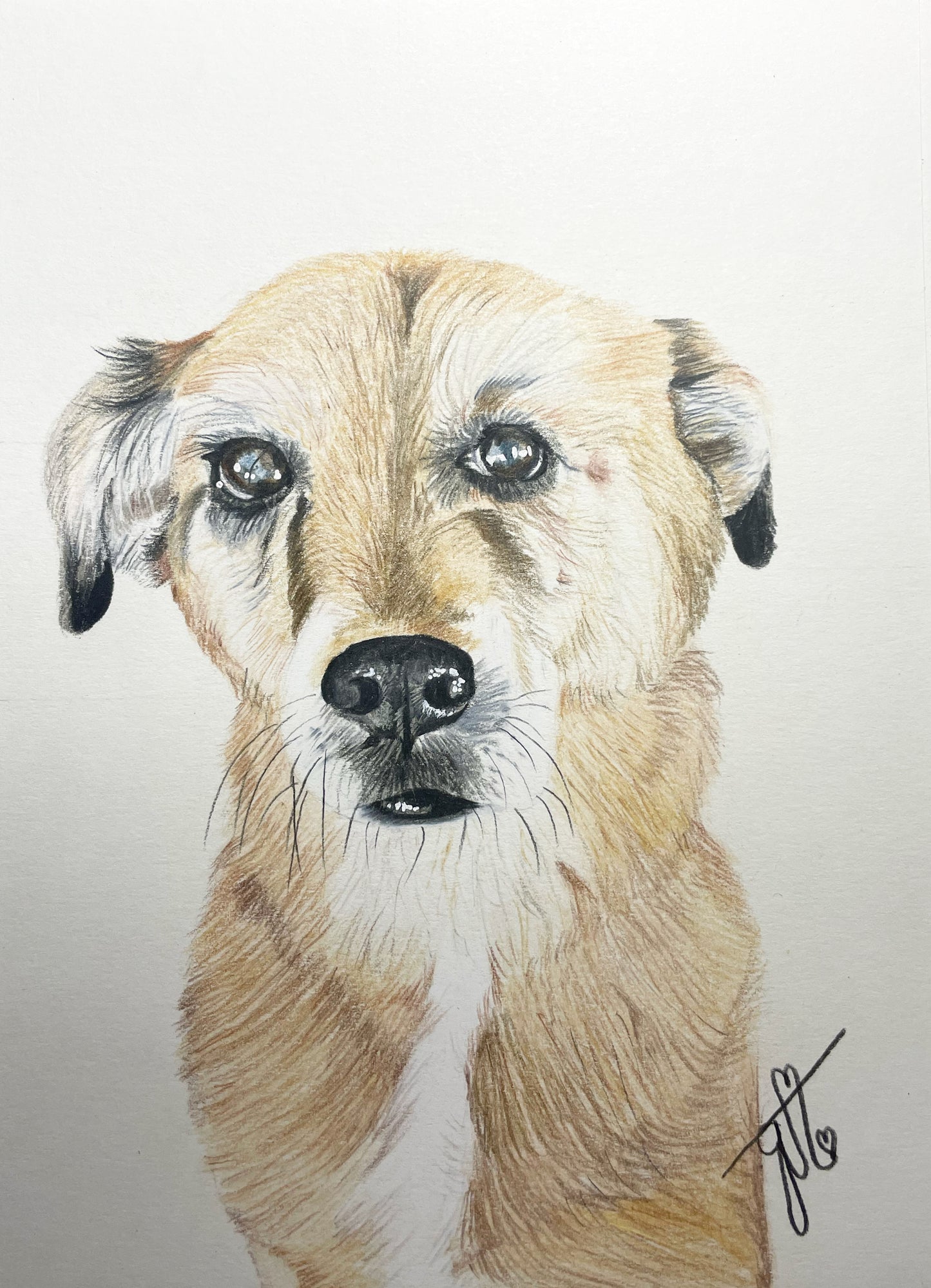 Personalized Pet Portrait