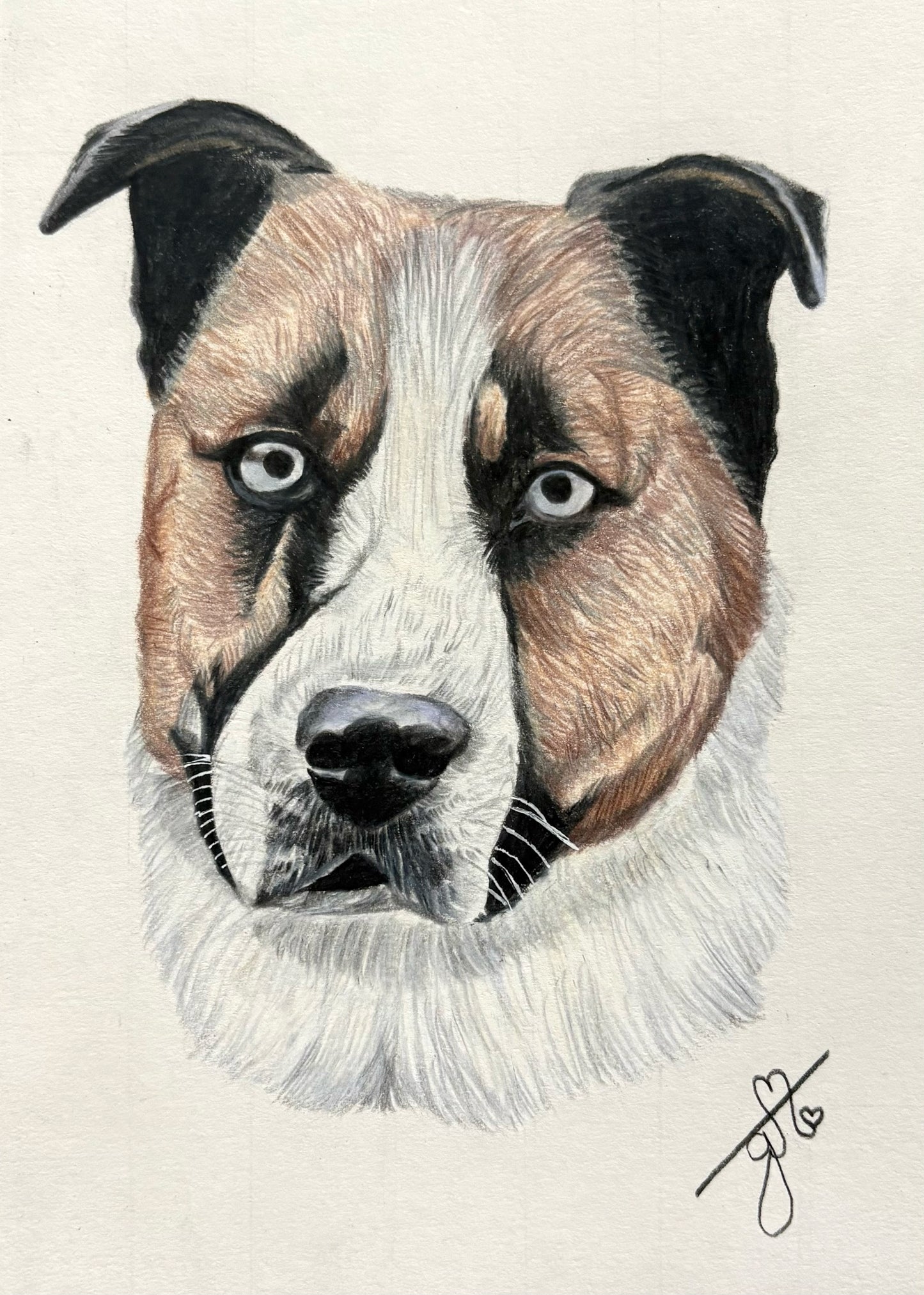 Personalized Pet Portrait