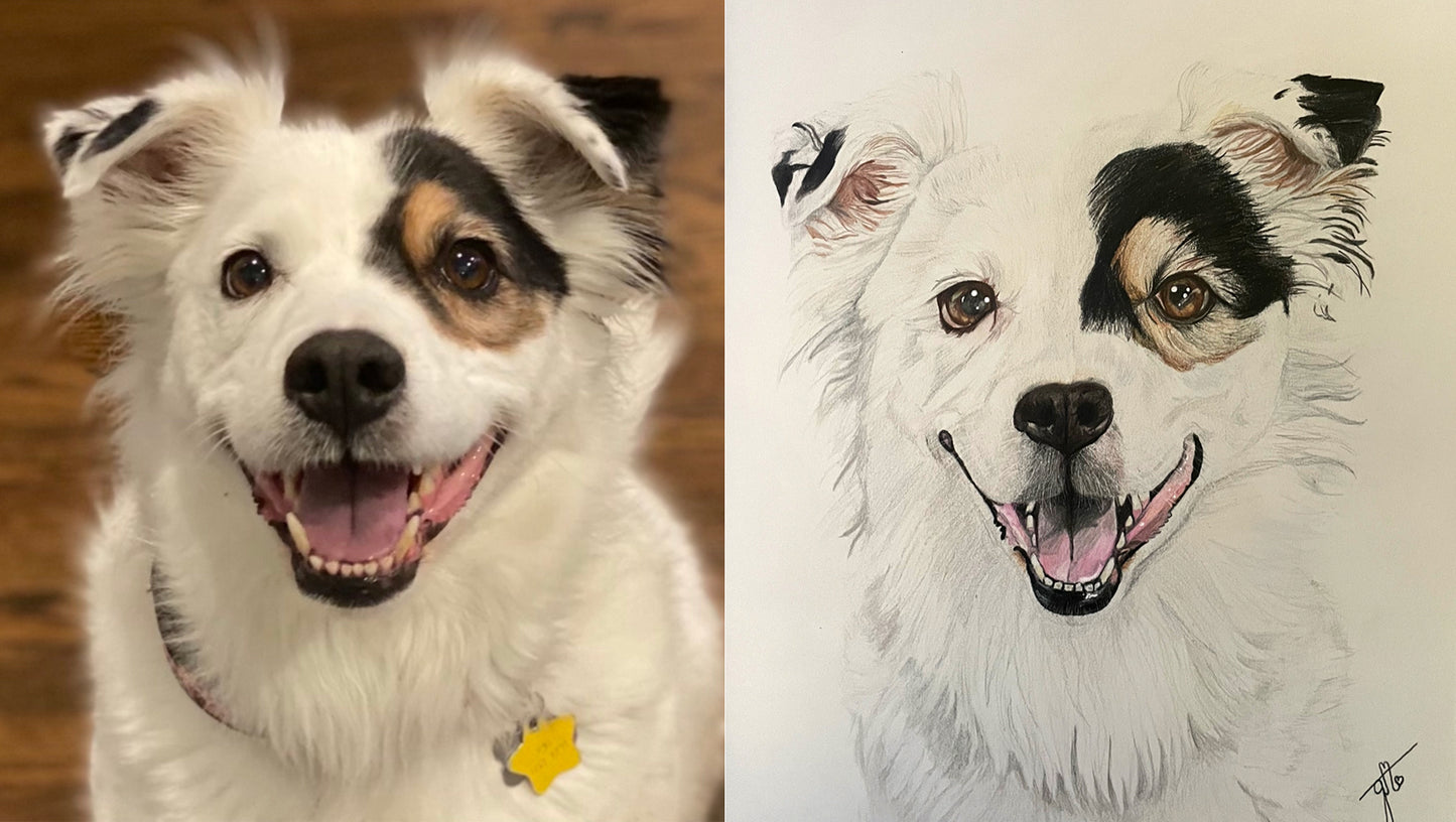 Personalized Pet Portrait