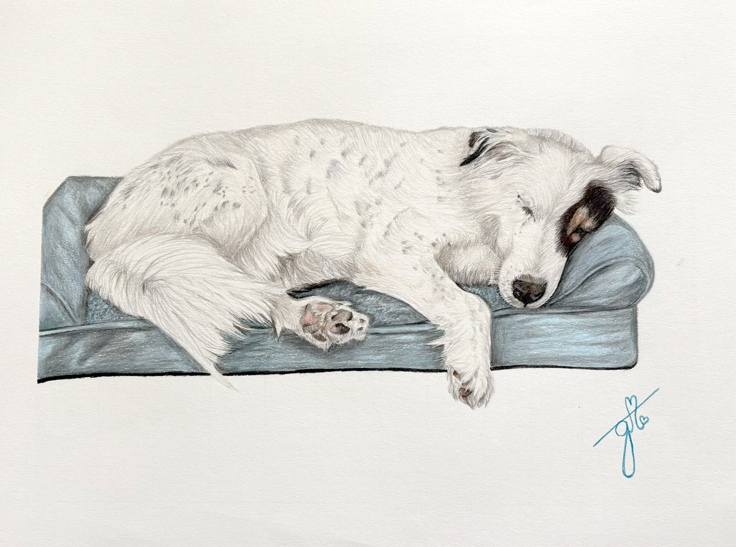 Personalized Pet Full Body Drawing