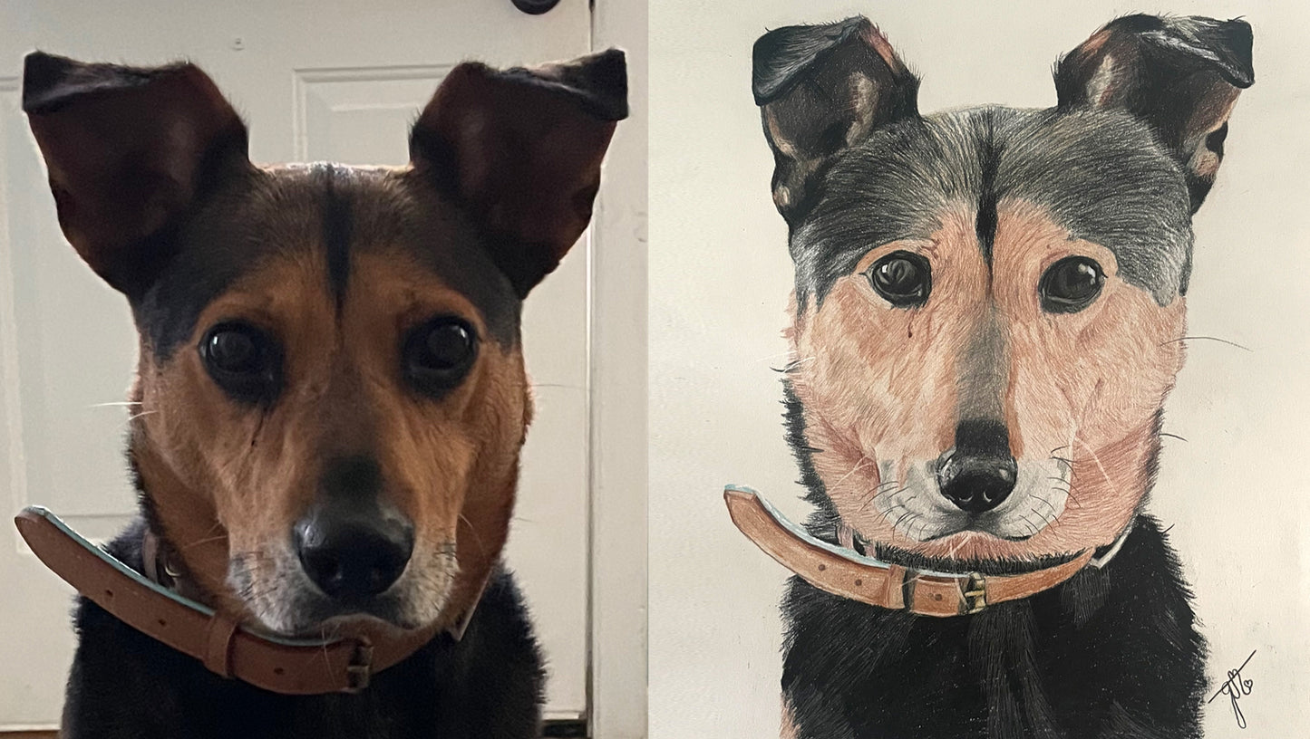 Personalized Pet Portrait