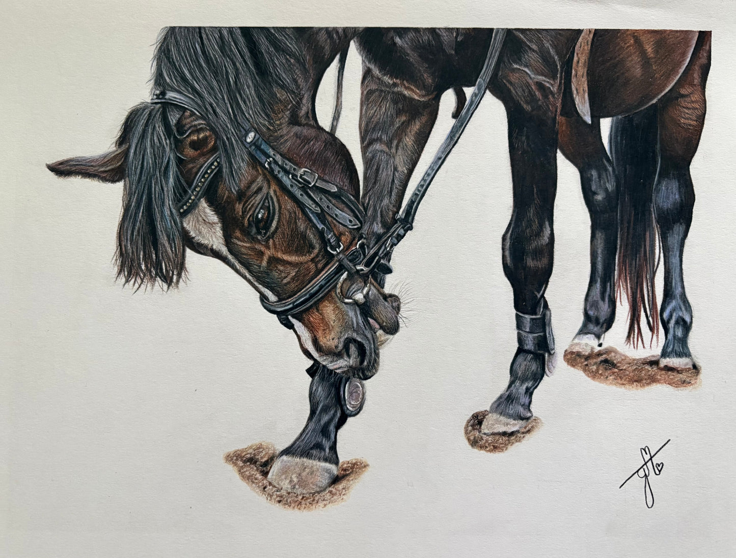 Personalized Pet Portrait - Full Body