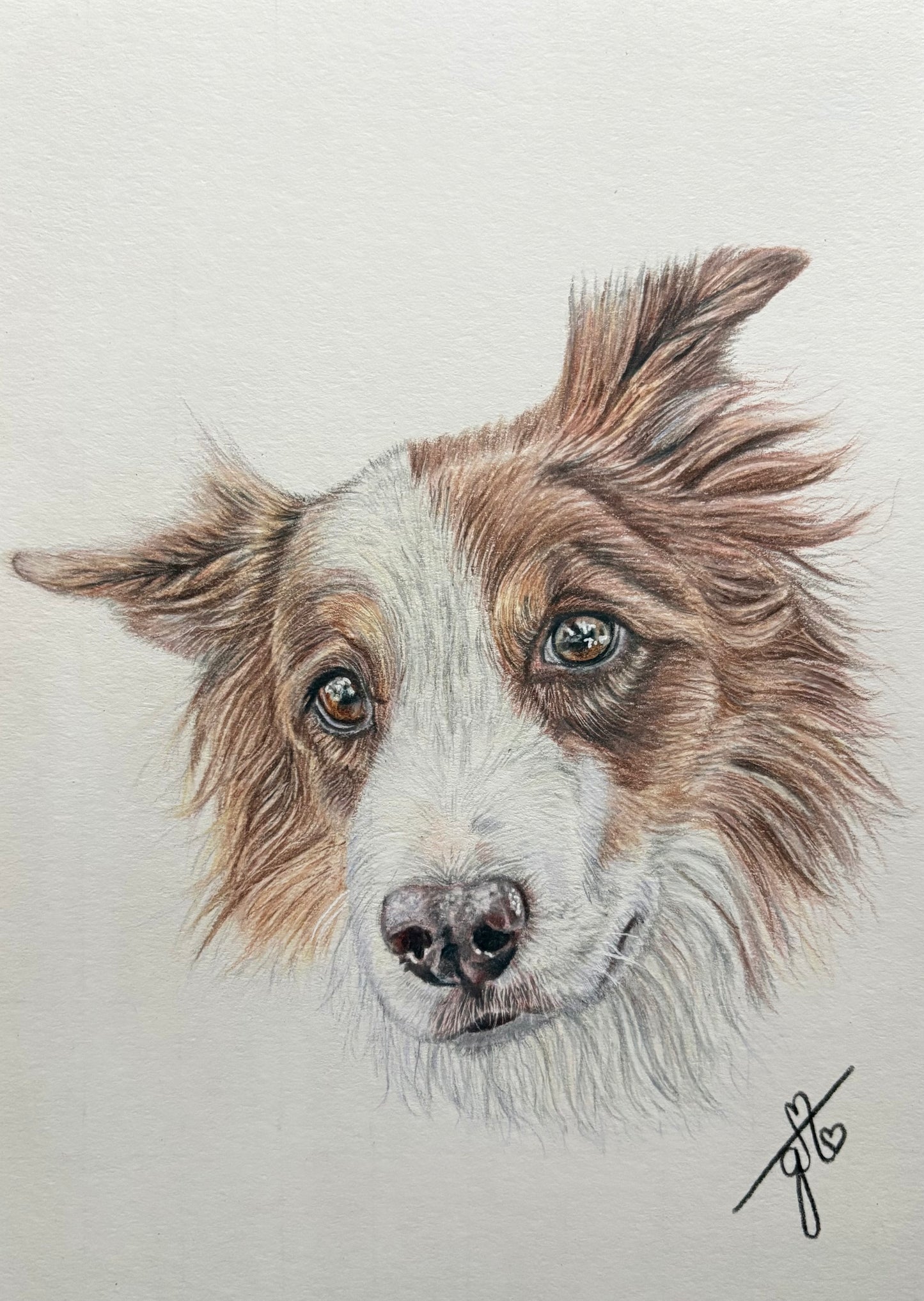 Personalized Pet Portrait