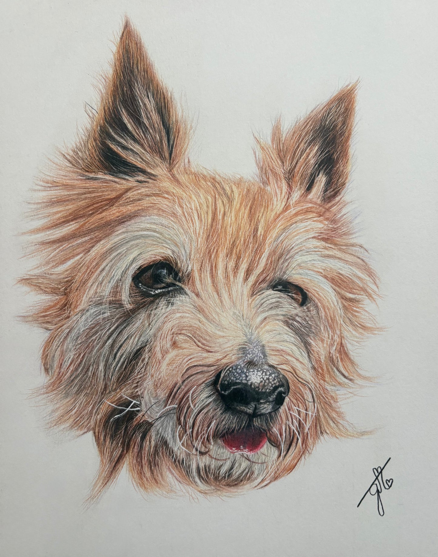 Personalized Pet Portrait
