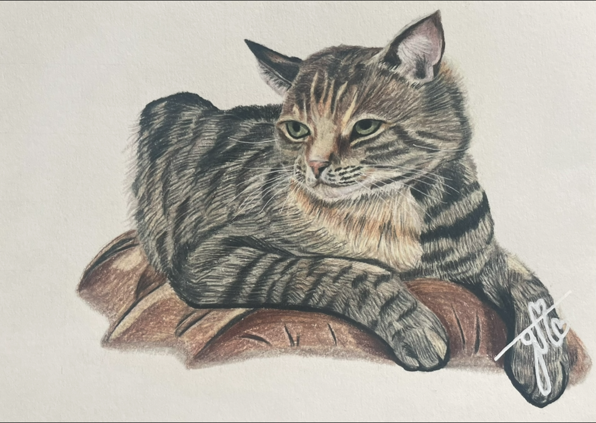 Personalized Pet Portrait - Full Body