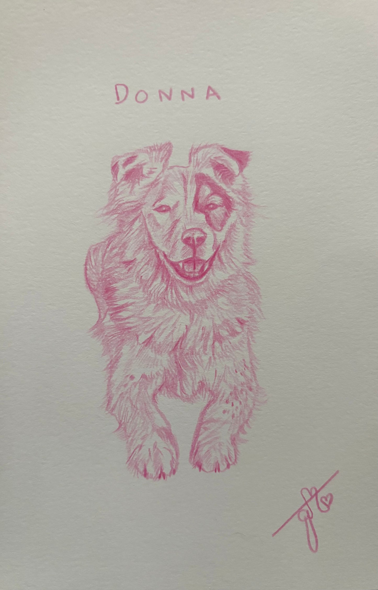 Custom Mini Pet Sketches