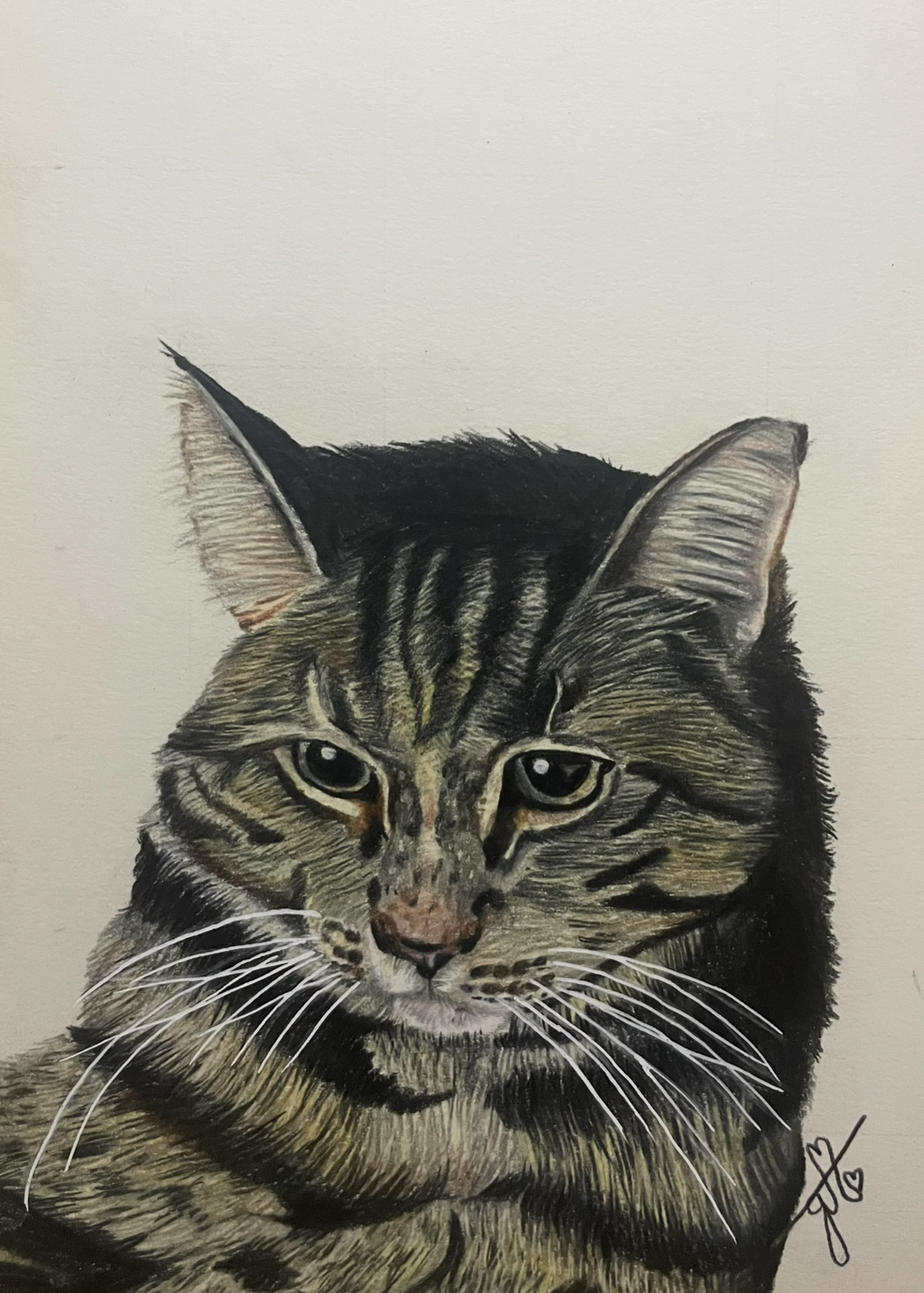 Personalized Pet Portrait