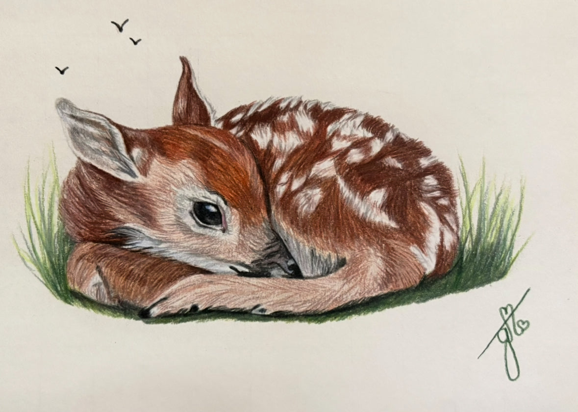 Personalized Pet Full Body Drawing