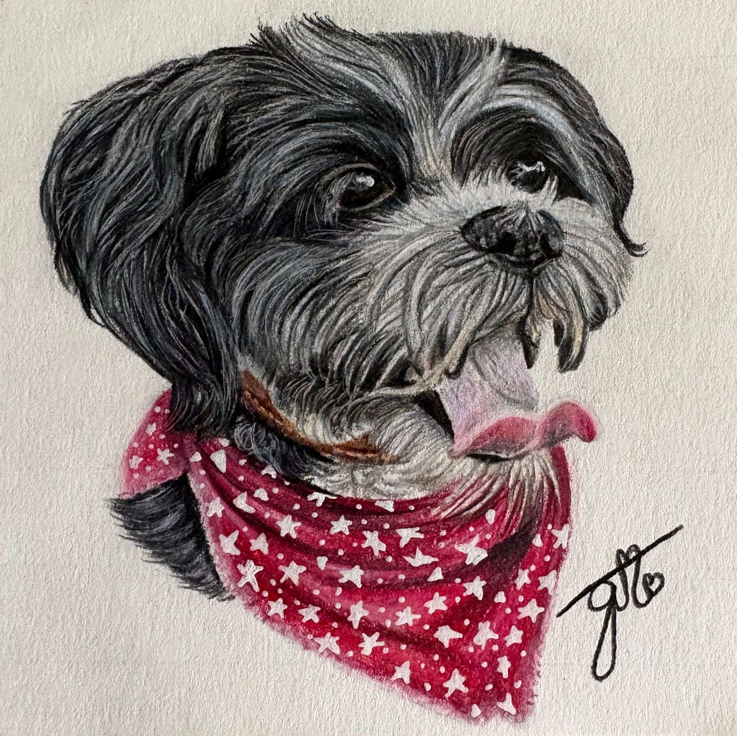 Personalized Pet Portrait
