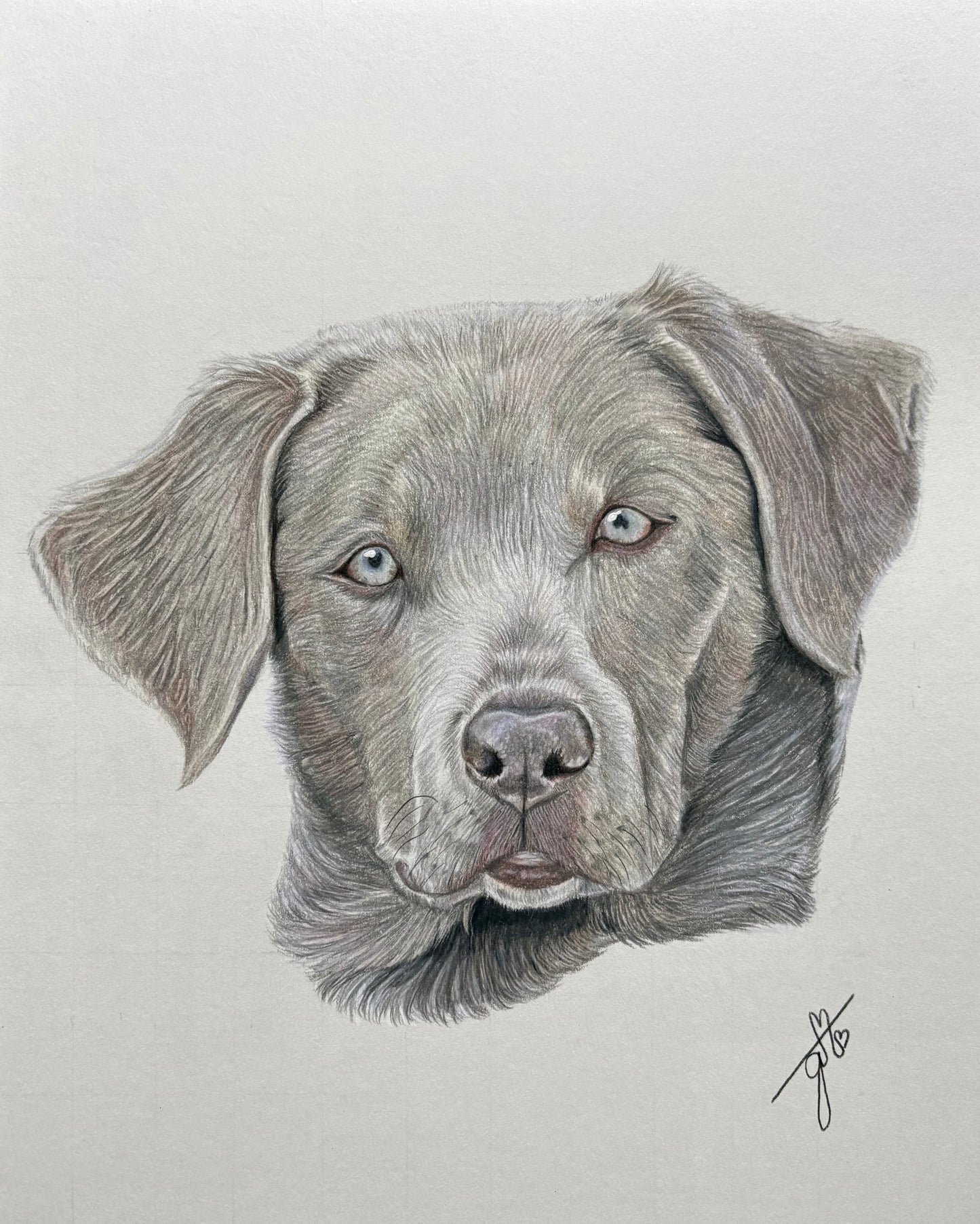 Personalized Pet Portrait