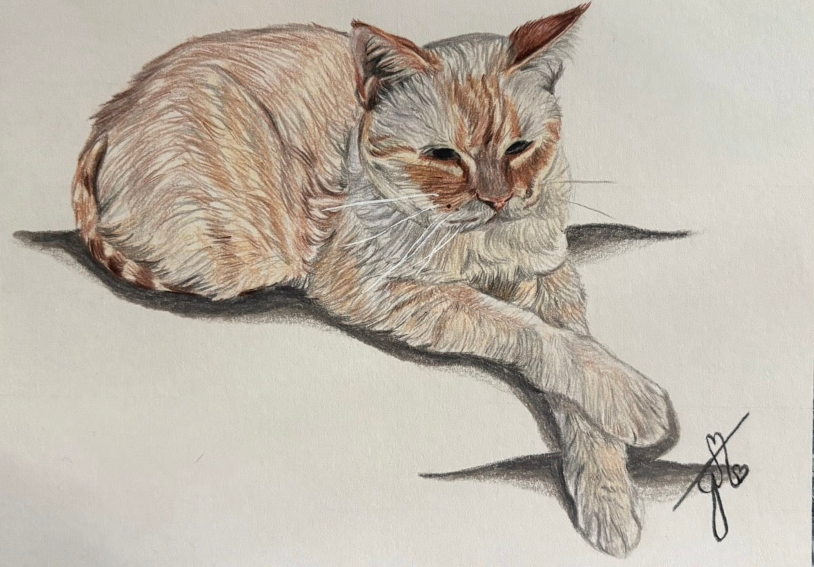 Personalized Pet Portrait - Full Body
