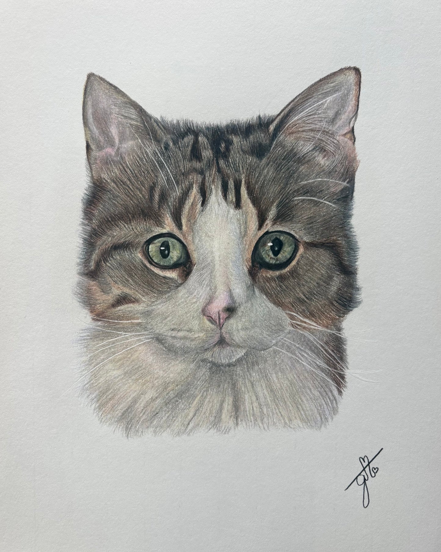Personalized Pet Portrait