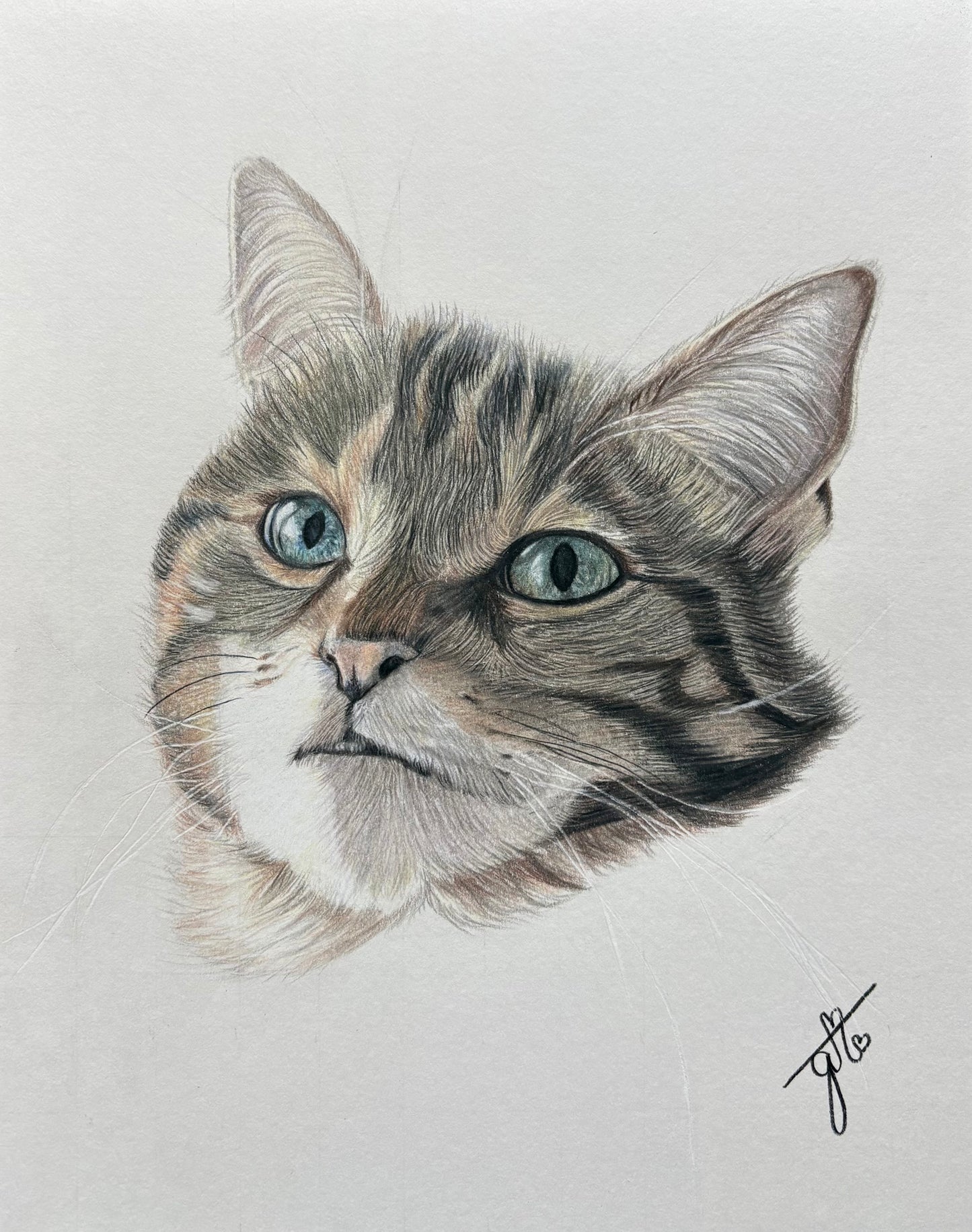 Personalized Pet Portrait