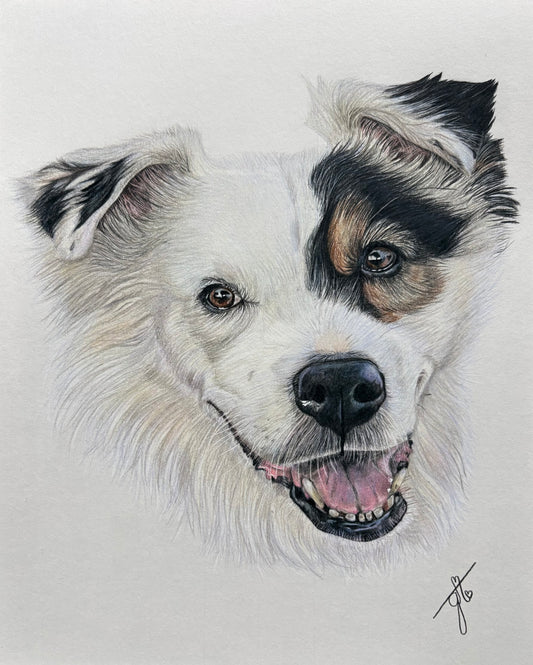 Personalized Pet Portrait