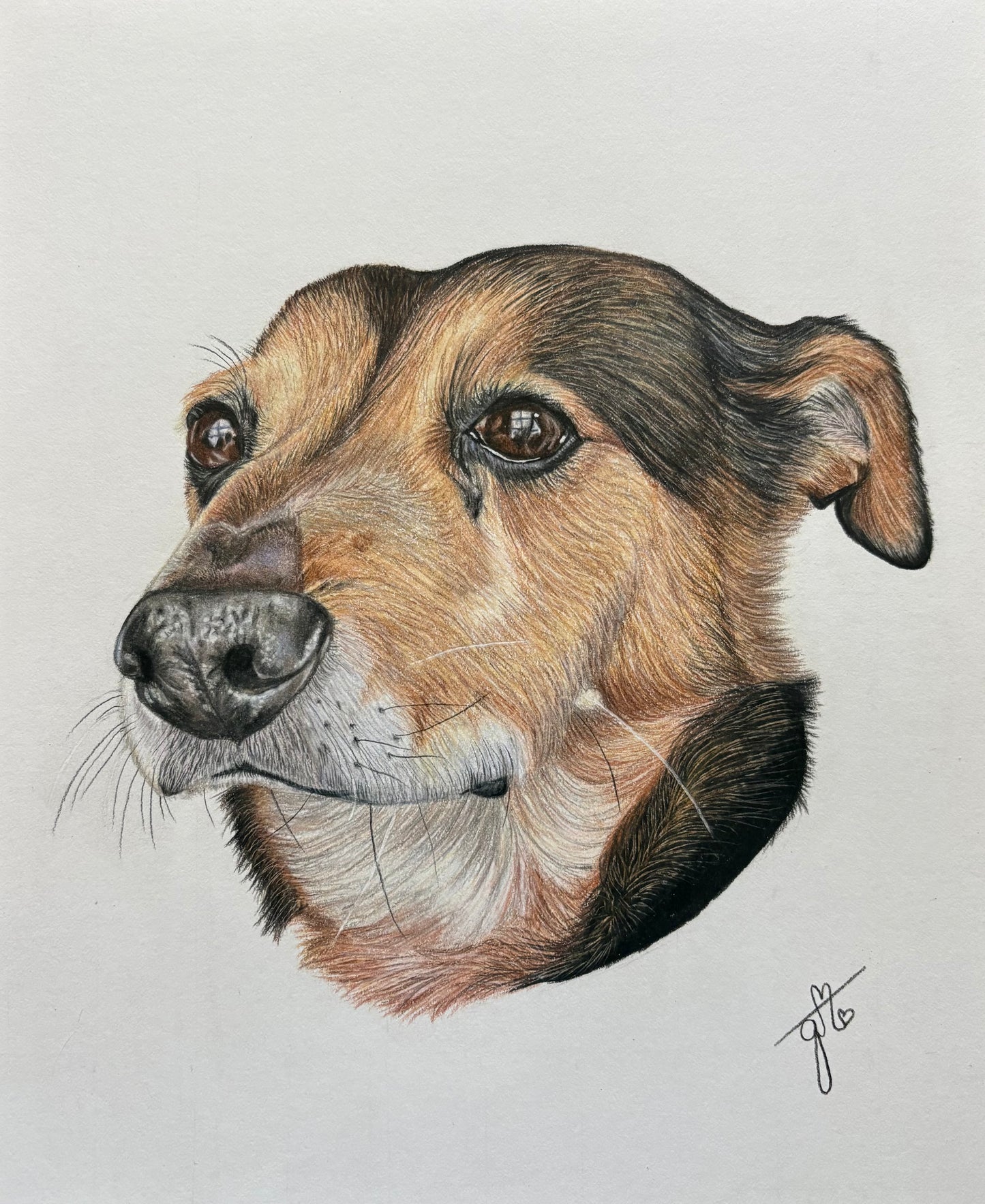Personalized Pet Portrait