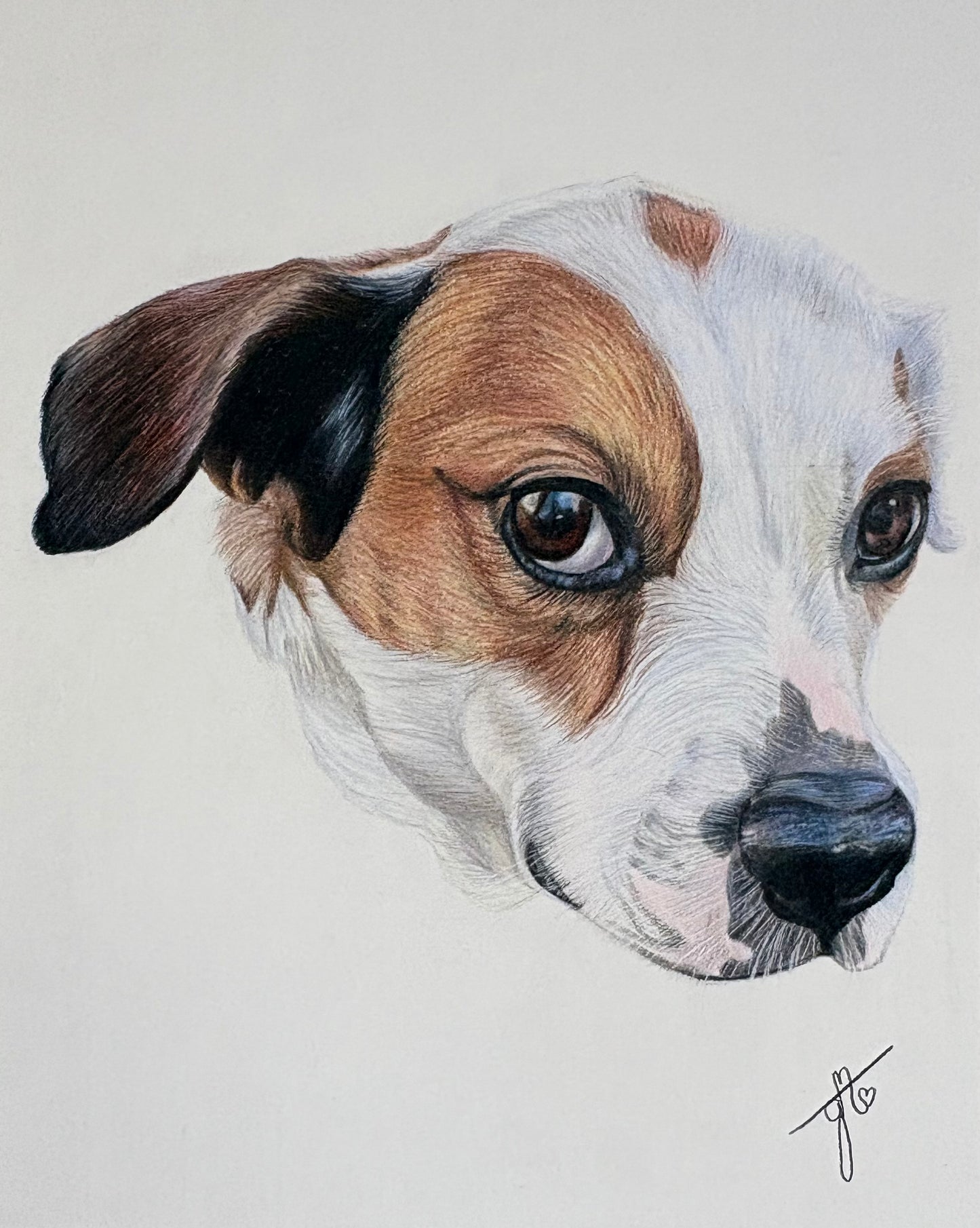 Personalized Pet Portrait