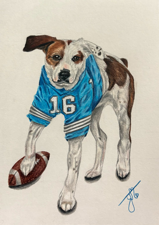 Personalized Pet Jersey Portrait