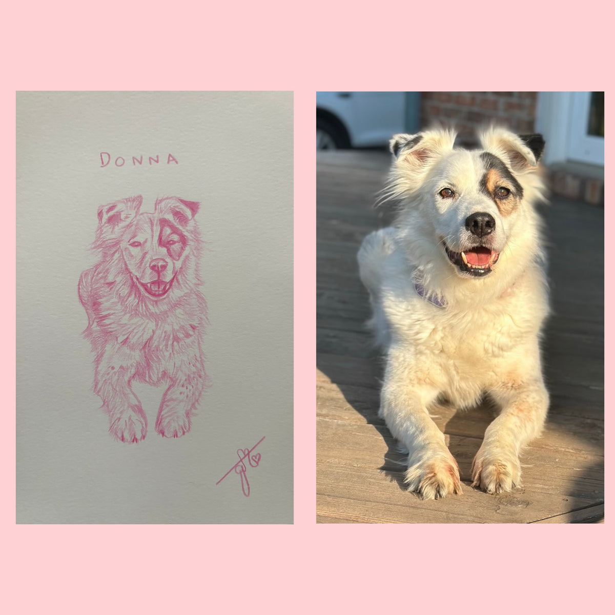Custom Mini Pet Sketches