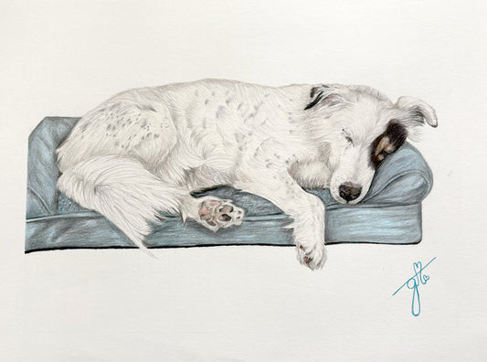 Personalized Pet Full Body Drawing