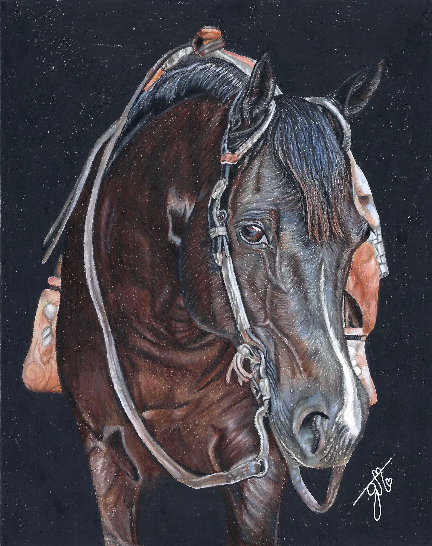 Personalized Pet Portrait - Full Body
